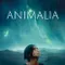Animalia fragman izle