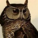 tmhak adlı kullanıcı